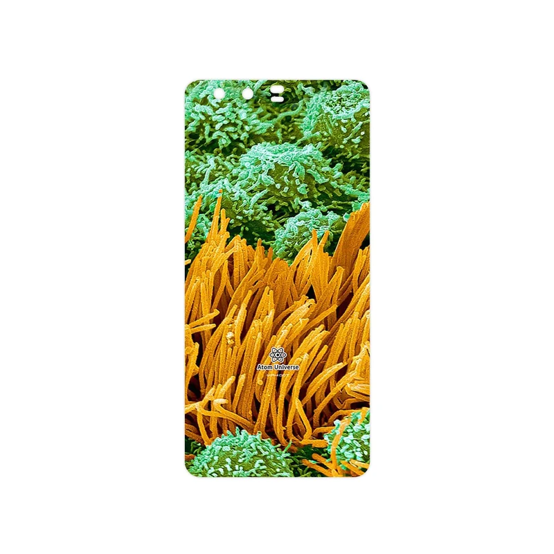برچسب پوششی ماهوت مدل Atom Universe 6 مناسب برای گوشی موبایل هوآوی P10 Plus