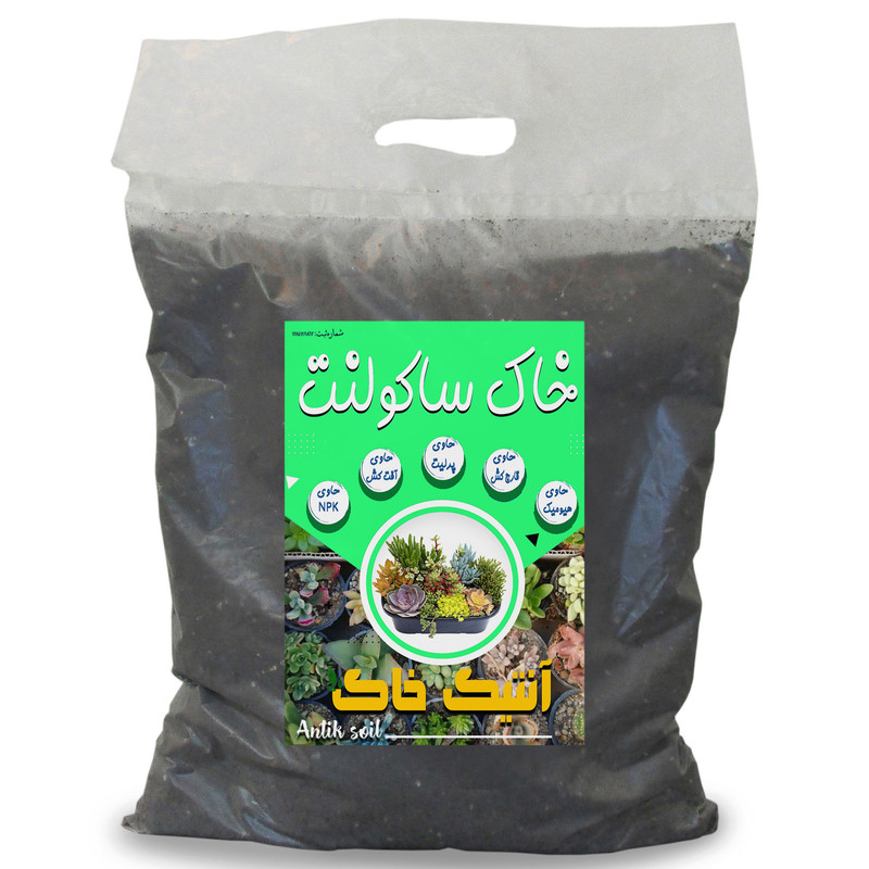 خاک ساکولنت آنتیک خاک مدل 10Litr وزن 5 کیلوگرم