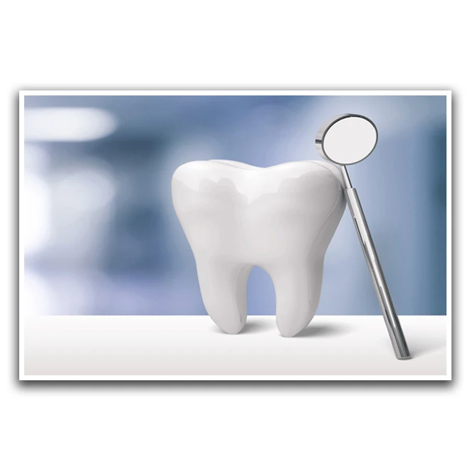 تابلو نوری بکلیت مدل دندانپزشکی کد W-D1185