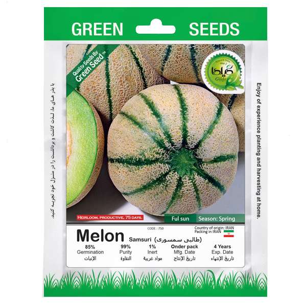 بذر طالبی سمسوری گیلدا کد 750