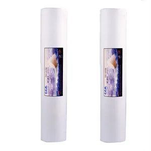 فیلتر دستگاه تصفیه آب سی سی کا مدل X300 مجموعه 2 عددی
