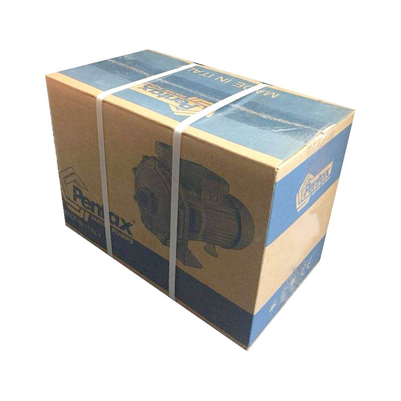 پمپ آب پنتاکس مدل 00/CB100