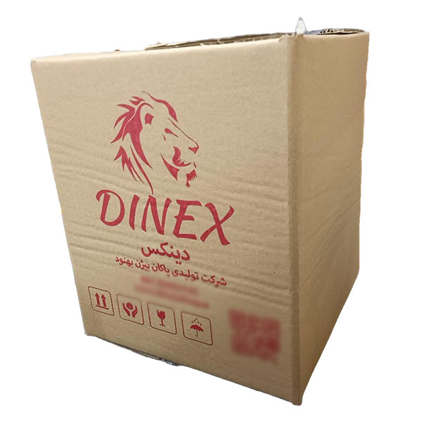 سیستم خورشیدی دینکس مدل DX-107 PLUS ظرفیت 1000 وات