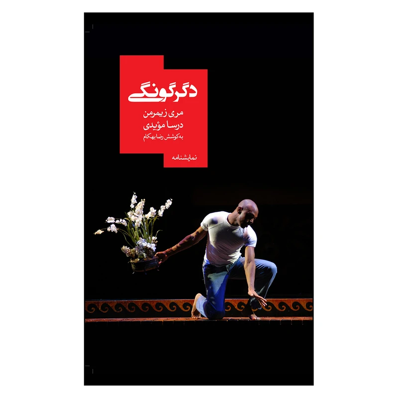 کتاب دگرگونگی اثر مری زیمرمن نشر روزبهان