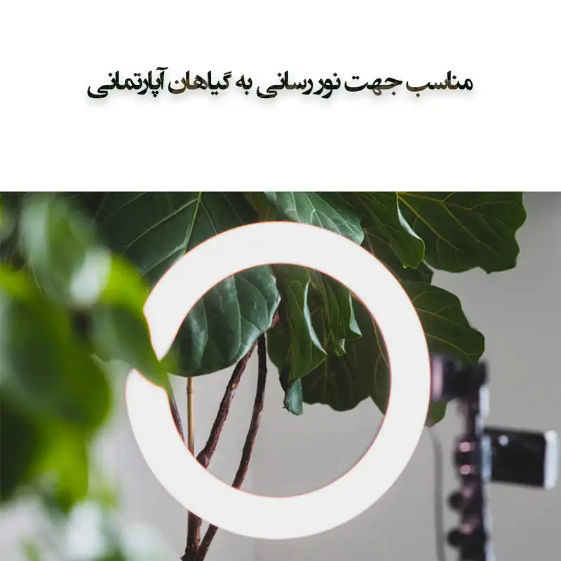 رینگ لایت  مدل QX_260