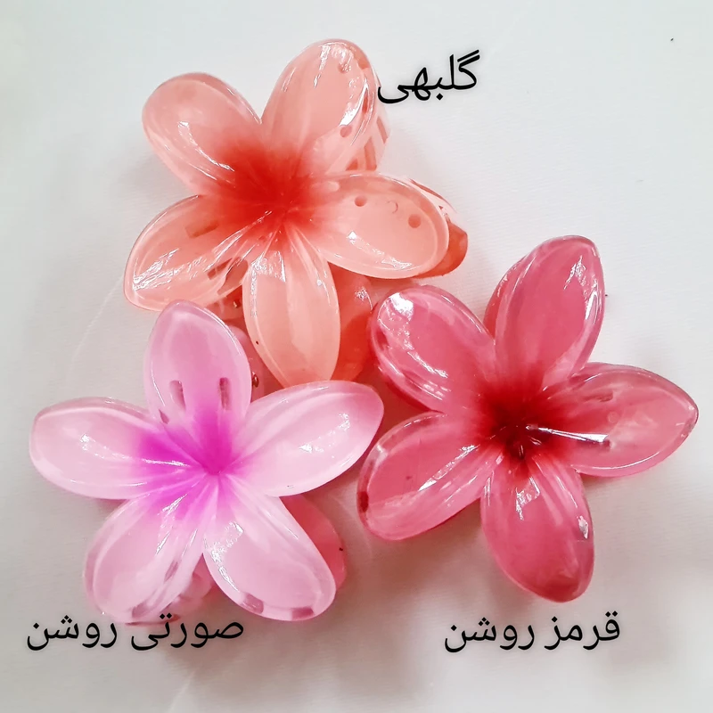 عکس شماره 2