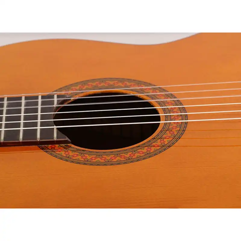 گیتار ماتیو کارکاسی مدل C40