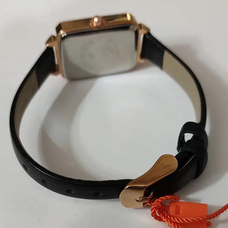 ساعت مچی عقربه ای زنانه اسکمی مدل 1706G