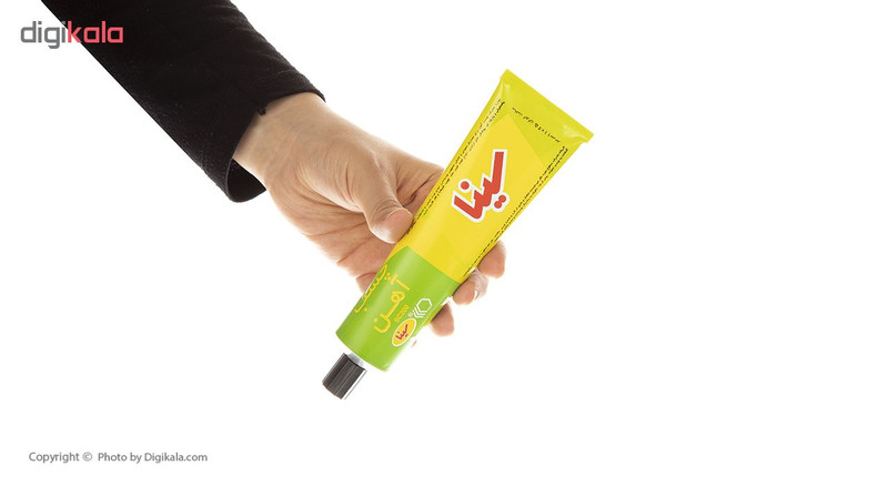 چسب آهن سینا مدل SC200 حجم 100 میلی لیتر