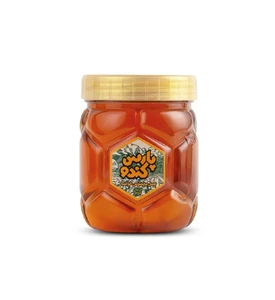 عسل پارس کندو - 500 گرم
