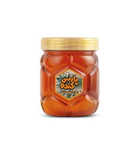 عسل پارس کندو - 500 گرم