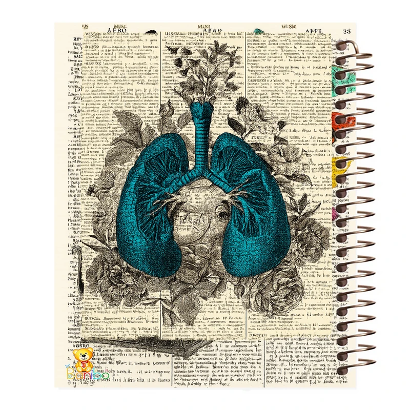 دفتر مشق 100 برگ بانیبو طرح شش ابی کد 2765