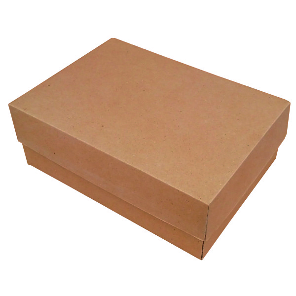 جعبه بسته بندی مدل کفش پوتین مردانه  کد M5 بسته 50 عددی