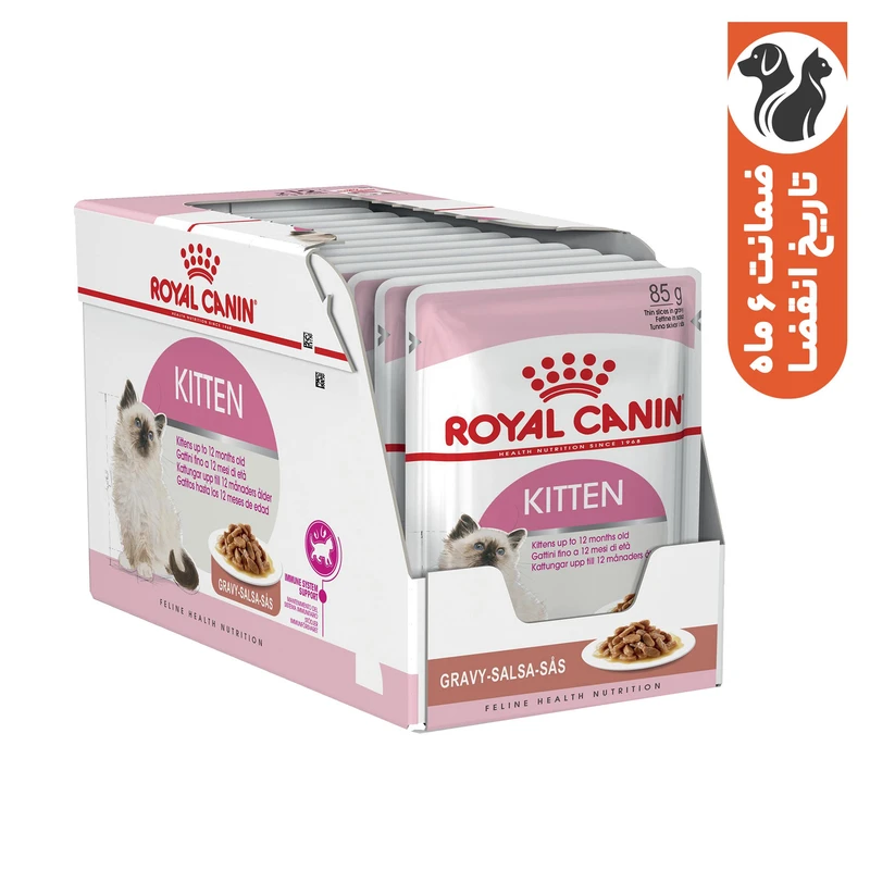 پوچ گربه رویال کنین مدل  Kitten gravy وزن 1020 گرم بسته 12 عددی 