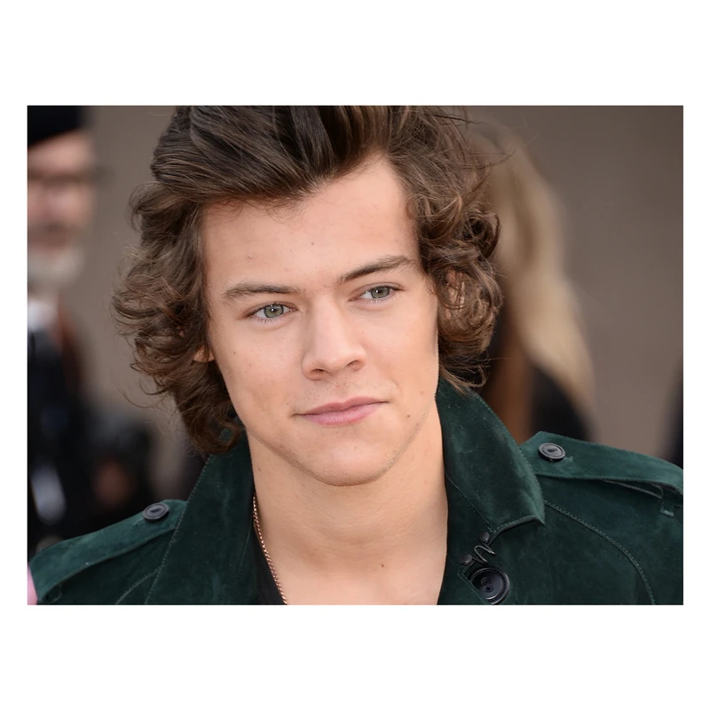 پوستر مدل هری استایلز Harry Styles کد 2505