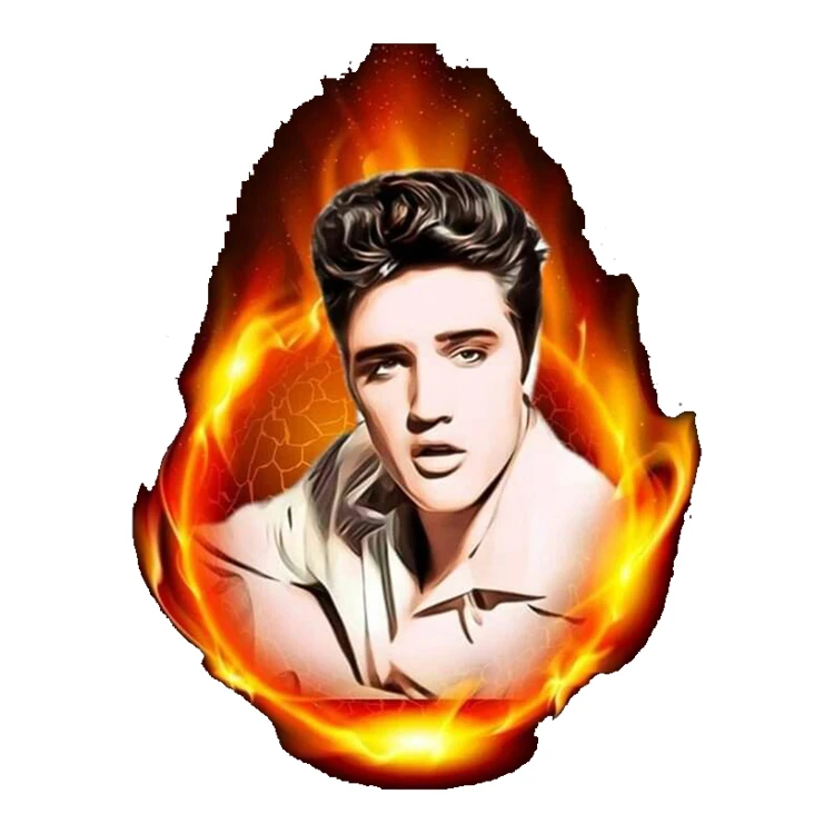 استیکر پارچه و لباس پاد آفرین مدل پریسلی خواننده کد 4381