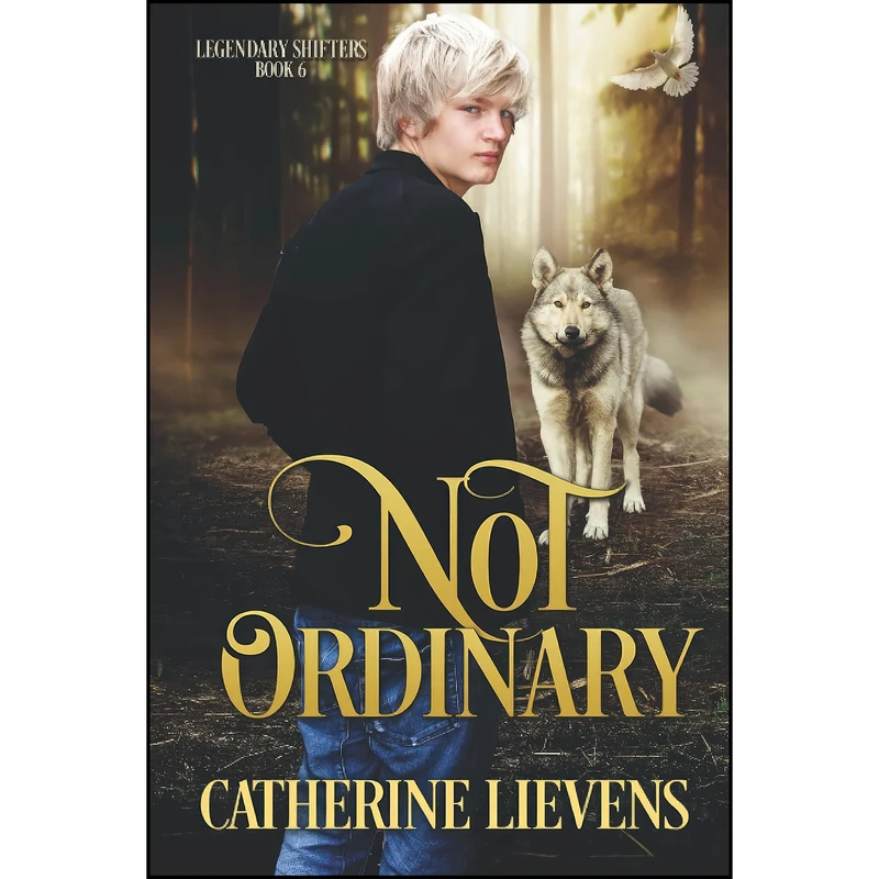 کتاب Not Ordinary  اثر Catherine Lievens انتشارات تازه ها