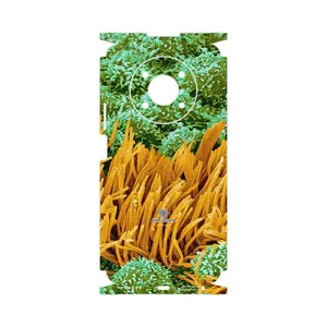 MAHOOT Atom Universe 6-FullSkin Cover Sticker for Honor X9 5G