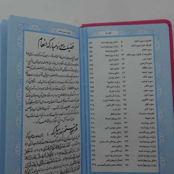 عکس شماره 4