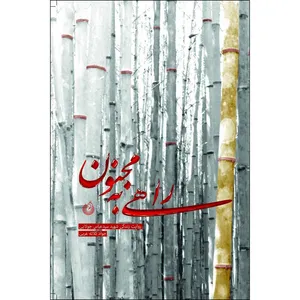 کتاب راهی به مجنون اثر جواد کلاته عربی انتشارات شهید کاظمی