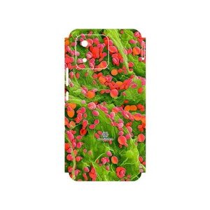 MAHOOT Atom Universe 3 Cover Sticker for Honor X5