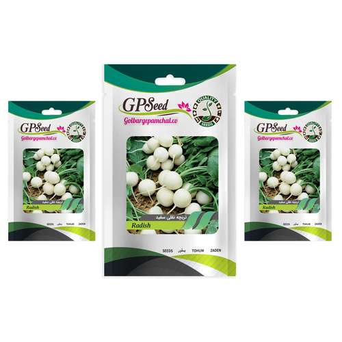 بذر تربچه نقلی گلبرگ پامچال کد GPF-144 مجموعه 3 عددی