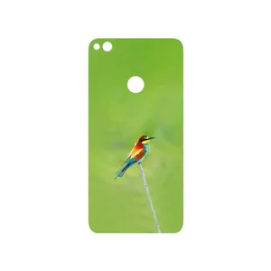 MAHOOT European bee-eater Cover Sticker for Honor 8 Lite