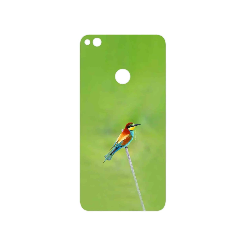 برچسب پوششی ماهوت مدل European bee-eater مناسب برای گوشی موبایل آنر 8 Lite