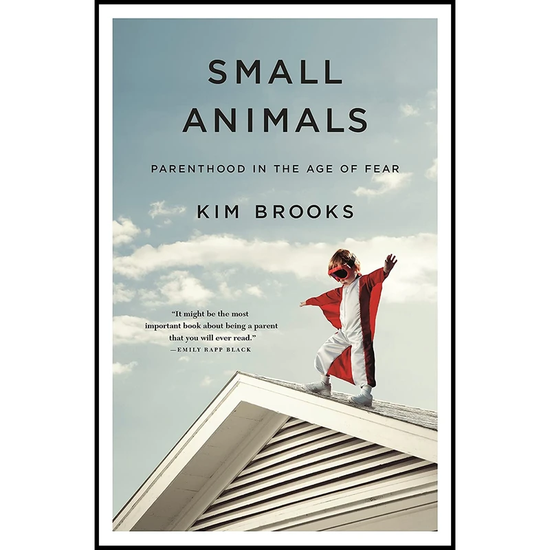کتاب Small Animals اثر Kim Brooks انتشارات Flatiron Books