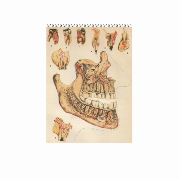 دفتر شطرنجی ۱۰۰ برگ طرح دندان کد ۹