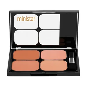 پالت رژ گونه مات مینی استار مدل Quattro شماره 02