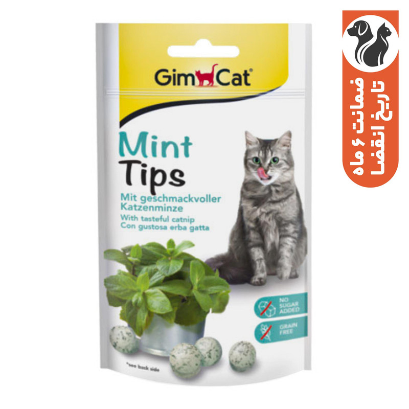 تشویقی گربه جیم کت مدل mint tips طعم نعنا وزن 40 گرم 