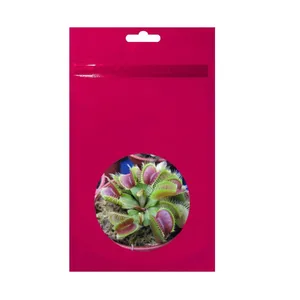 بدز ونوس حشره خوار مدل Regular