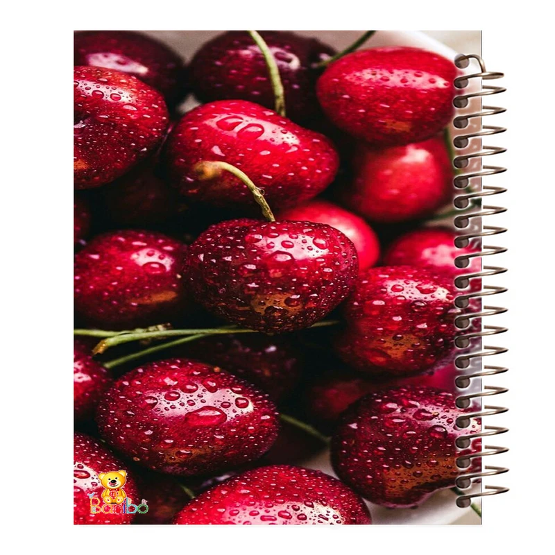 دفتر برنامه ریزی 60 برگ سیمی بانیبو مدل گیلاس کد 4338