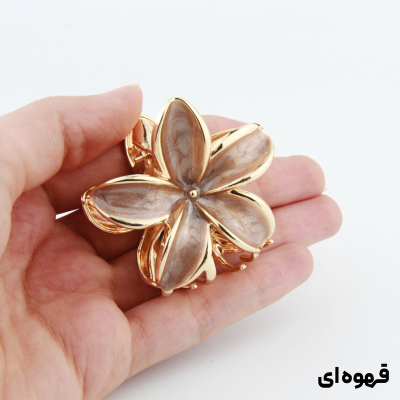 کلیپس مو زنانه مدل پلومریا کد 3327