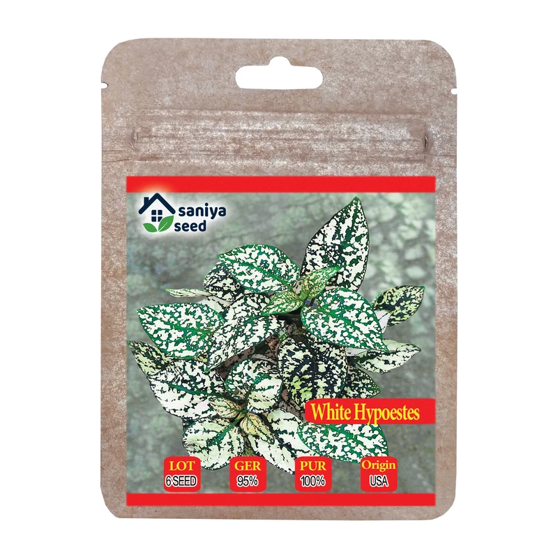 بذر گل سنگ سفید سانیا سید مدل SS63