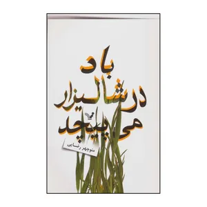 کتاب باد در شالیزار می پیچد اثر منوچهر رضایی انتشارات کتابسرای تندیس