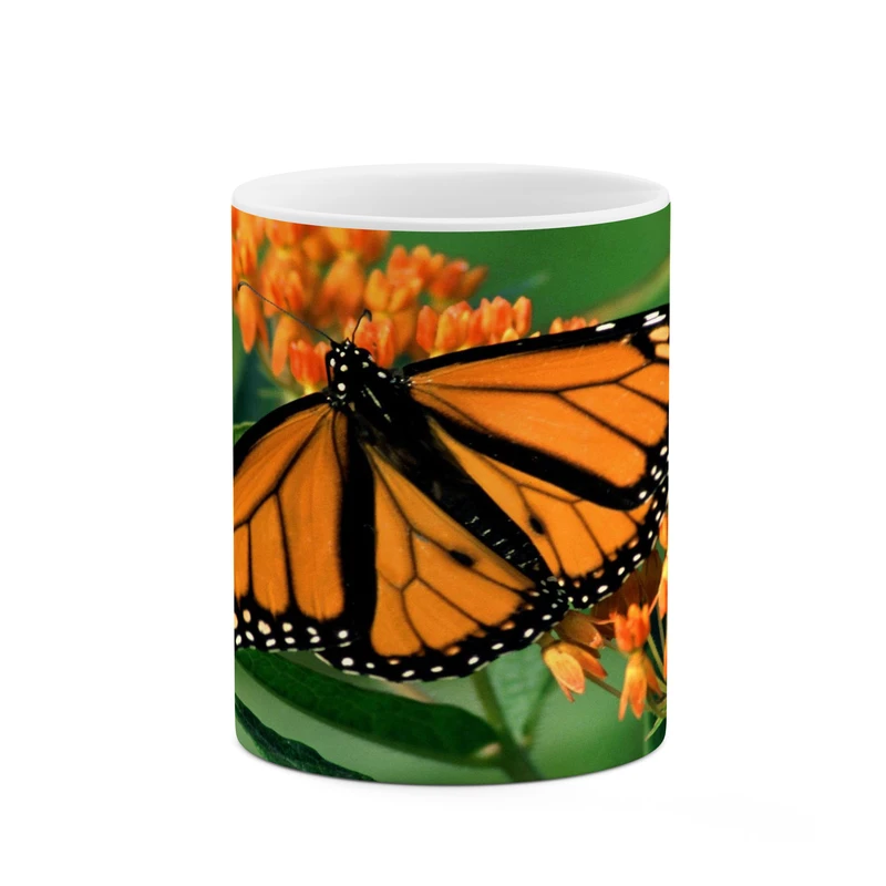 ماگ کاکتی مدل پروانه کد mgh17690