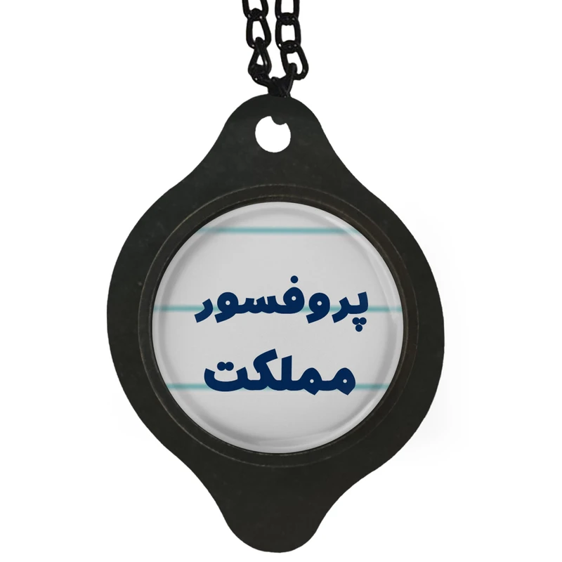 آویز تزئینی خودرو مدل پروفسور مملکت کد 358