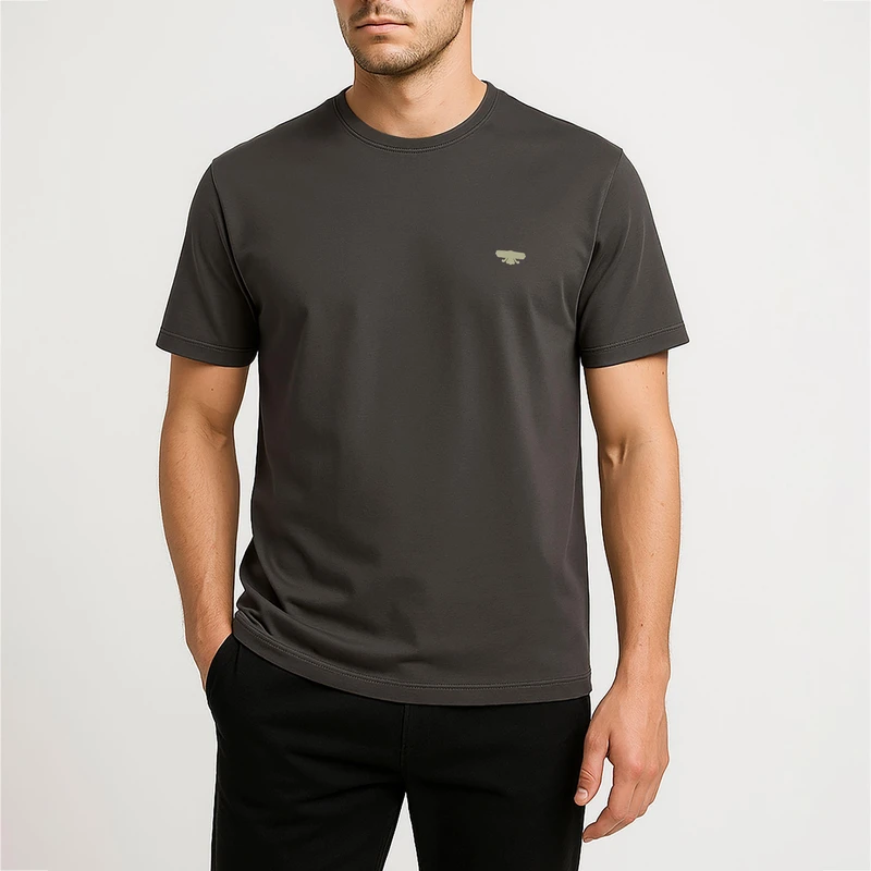 تی‌شرت آستین کوتاه مردانه امشاسپند مدل Batis رنگ زغالی