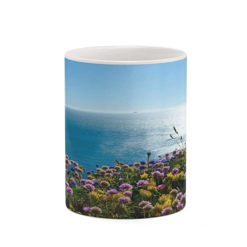 ماگ کاکتی مدل منظره کد mgh18218