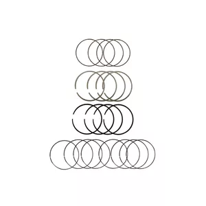 رینگ پیستون موتور مدل 1004500-EG01-0.25 مناسب برای گریت وال ولکس C30 مجموعه 20 عددی