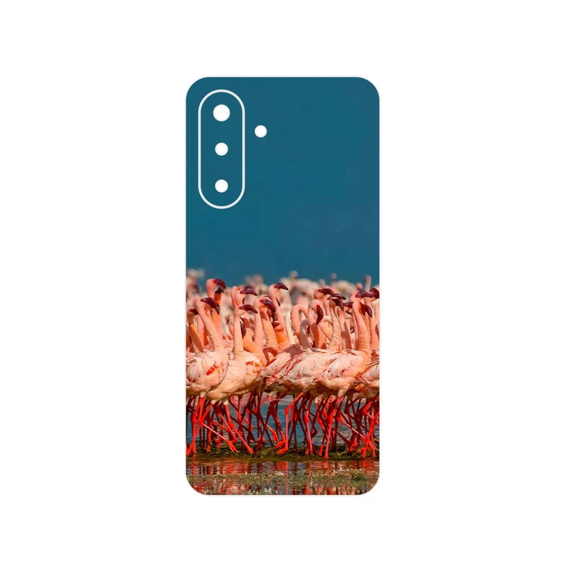 برچسب پوششی ماهوت مدل Flamingo مناسب برای گوشی موبایل سامسونگ Galaxy A17 4G