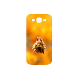 MAHOOT Squirrel Cover Sticker for Samsung Galaxy Grand 2
