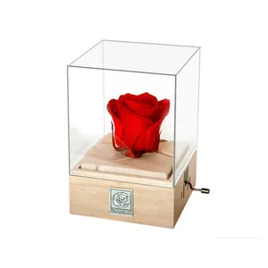 گل رز جاودان مدل crank music box
