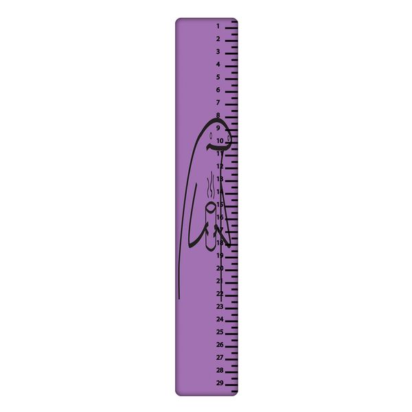 خط کش 30 سانتی متر طرح میقولی کد 2417