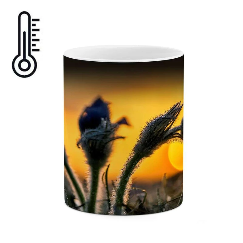 ماگ حرارتی کاکتی مدل منظره کد mgh17146