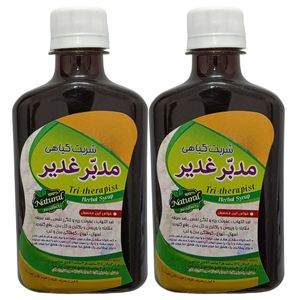 شربت گیاهی مدبر غدیر جالینوس - 260 میلی لیتر بسته 2 عددی