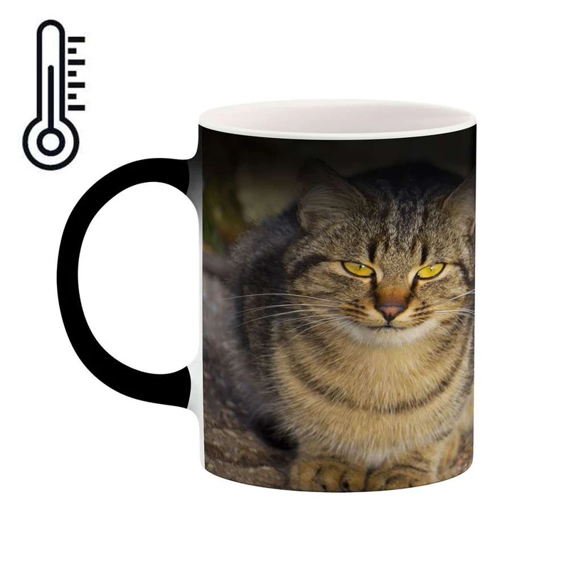 ماگ حرارتی کاکتی مدل گربه کد mgh16689