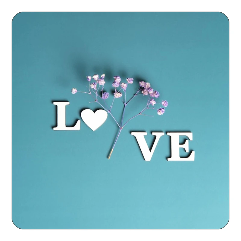 مگنت کاکتی طرح عاشقانه مدل mp37005